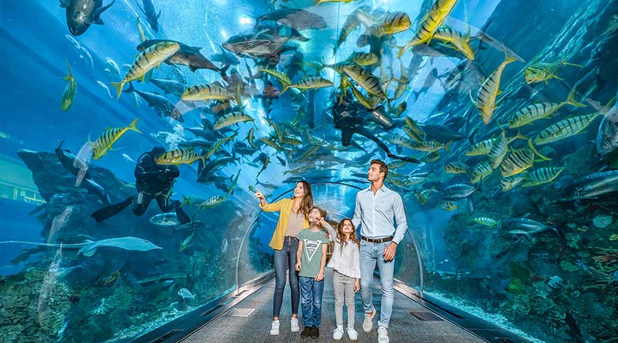 Dubai-Aquarium-Underwater-Zoo_expertateverything.in