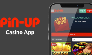 pin-up-casino-app_expertateverything.in